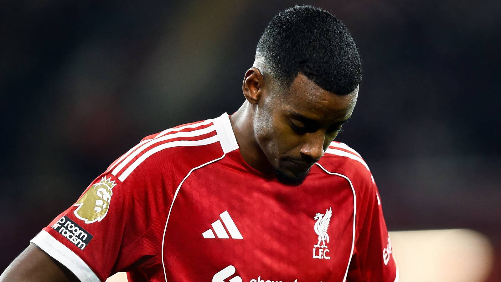 Sunderland are opening talks to sign their version of Alexander Isak this summer Sunderland are opening talks to sign their version of Alexander Isak this summer