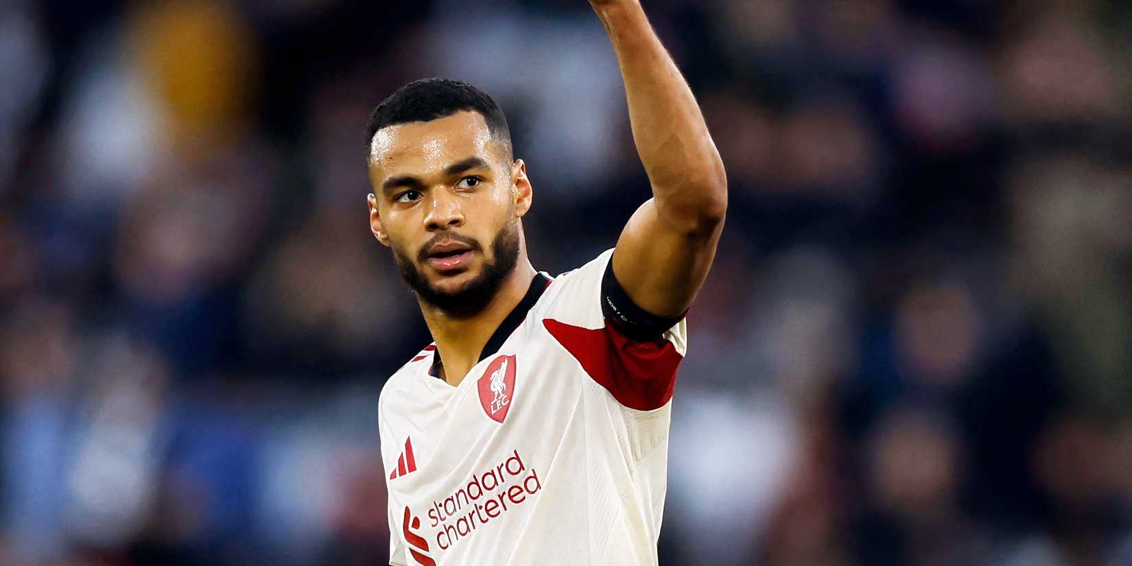 Liverpool winger Cody Gakpo