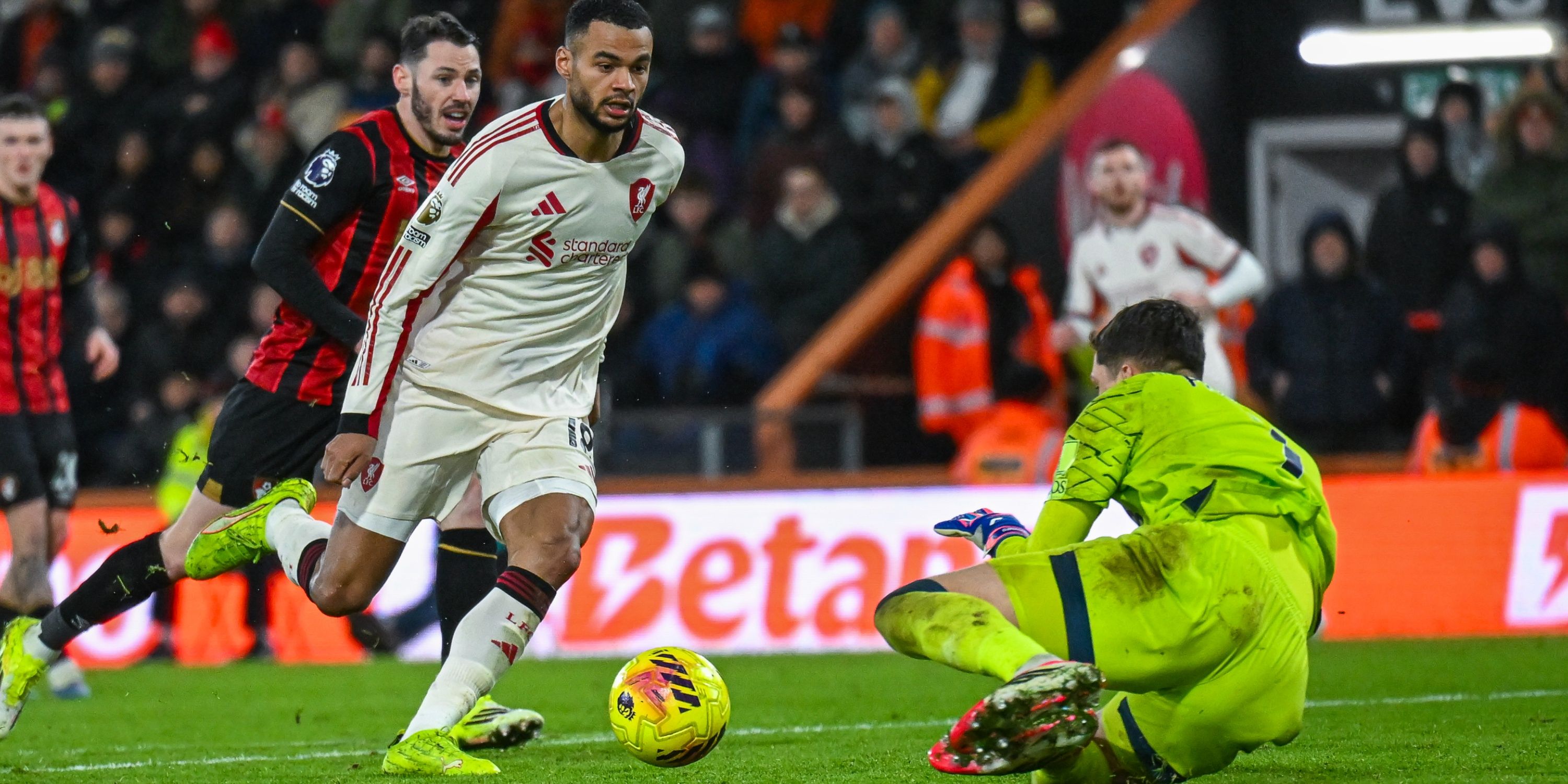 cody-gakpo-liverpool