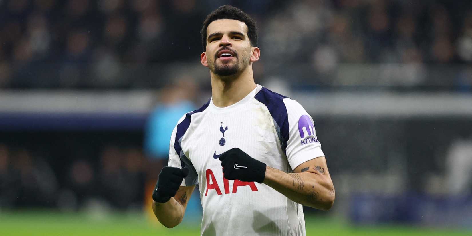 dominic solanke spurs