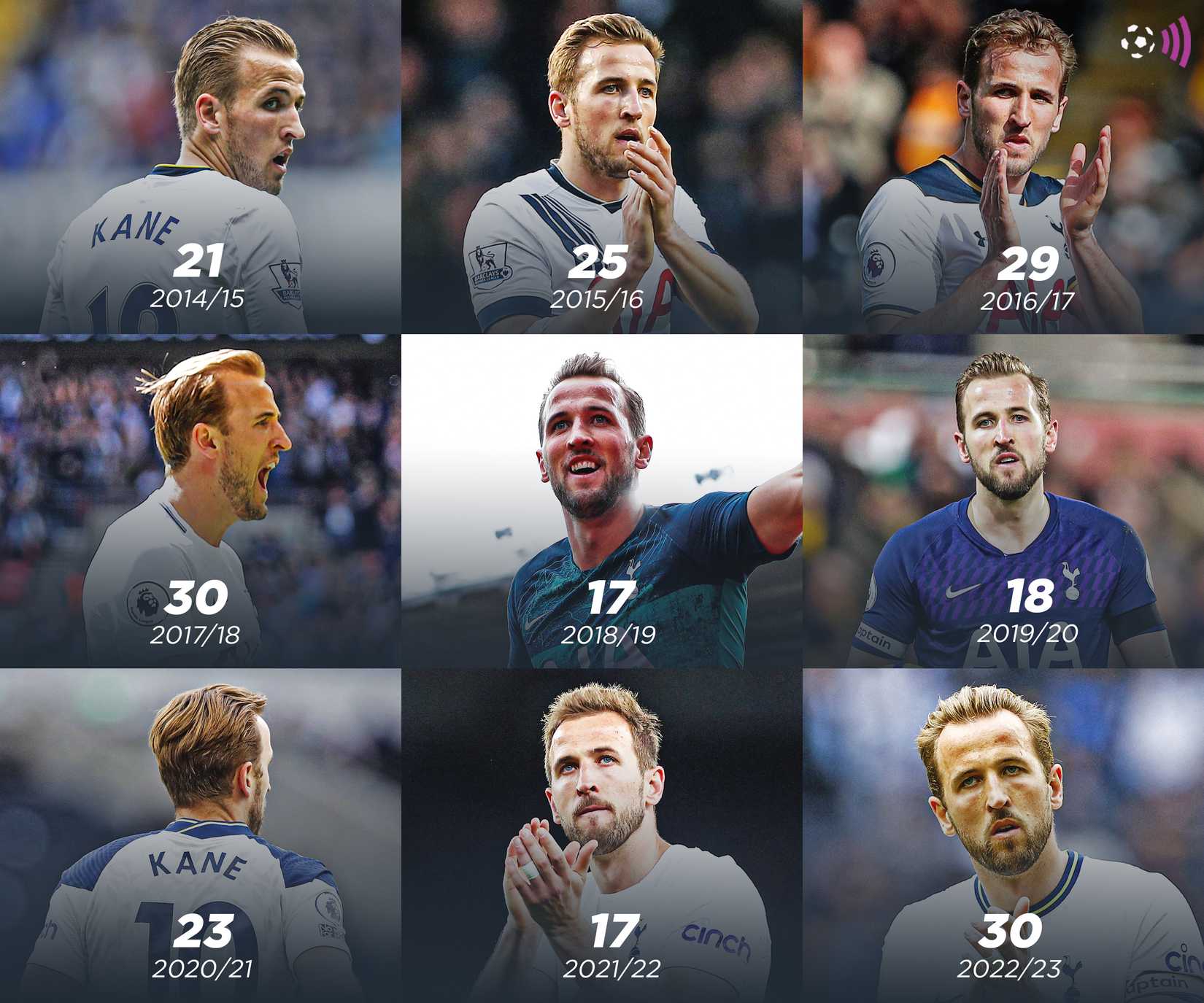 Harry Kane Premier League goals per season