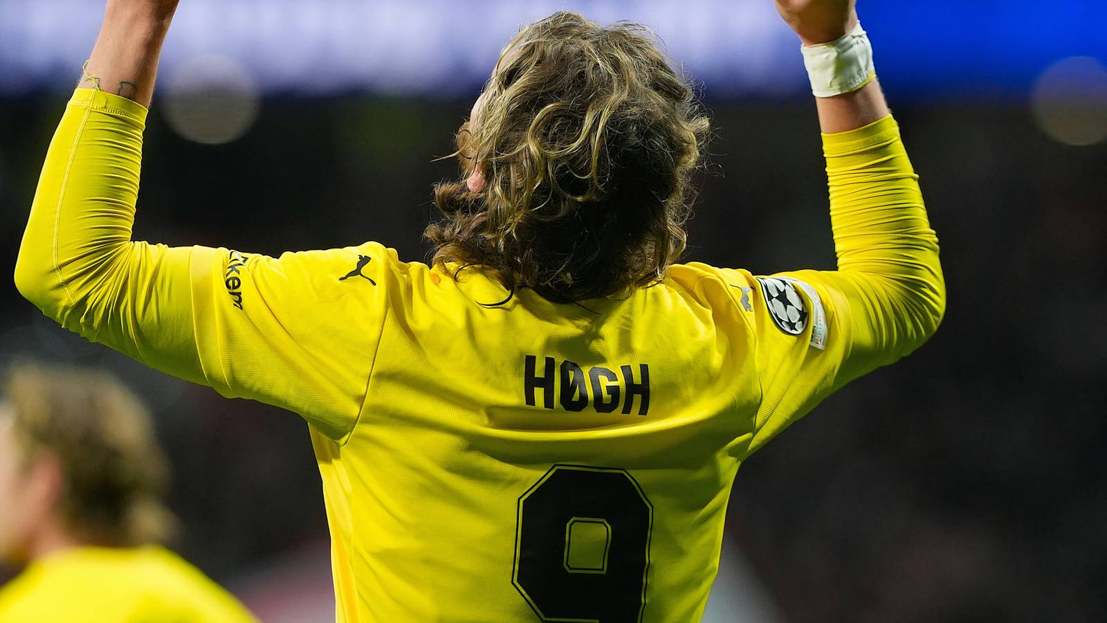 How the Rangers could sign their answer to Kasper Hogh this summer How the Rangers could sign their answer to Kasper Hogh this summer