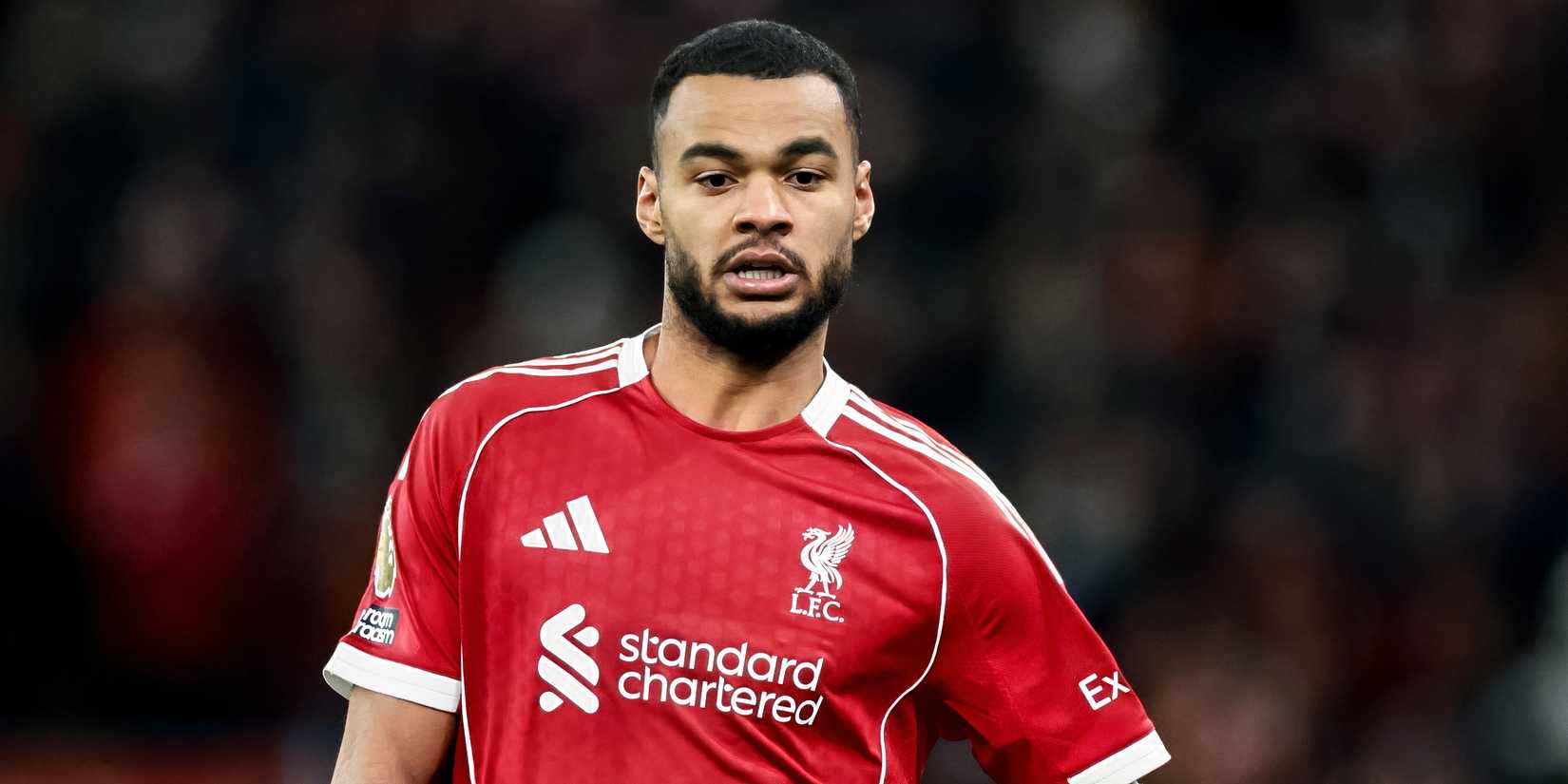 Liverpool forward Cody Gakpo