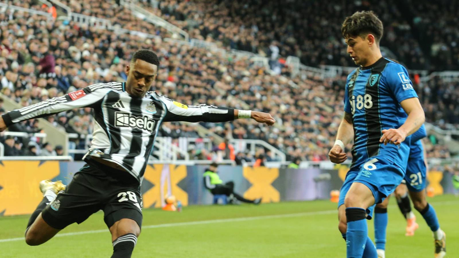 joe-willock-newcastle-united