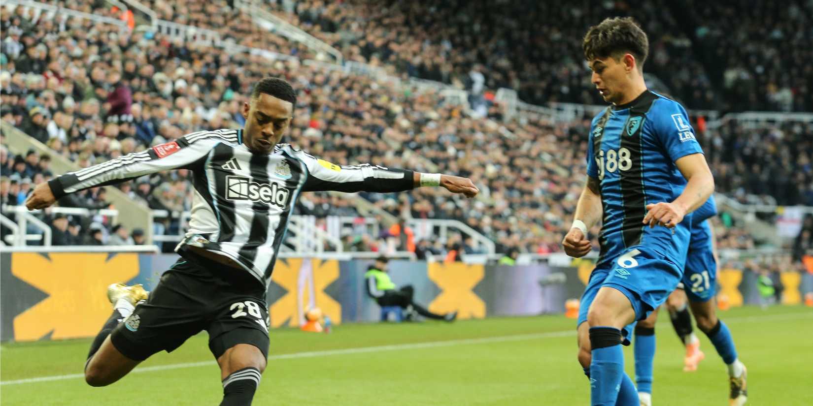 Joe Willock - Newcastle United