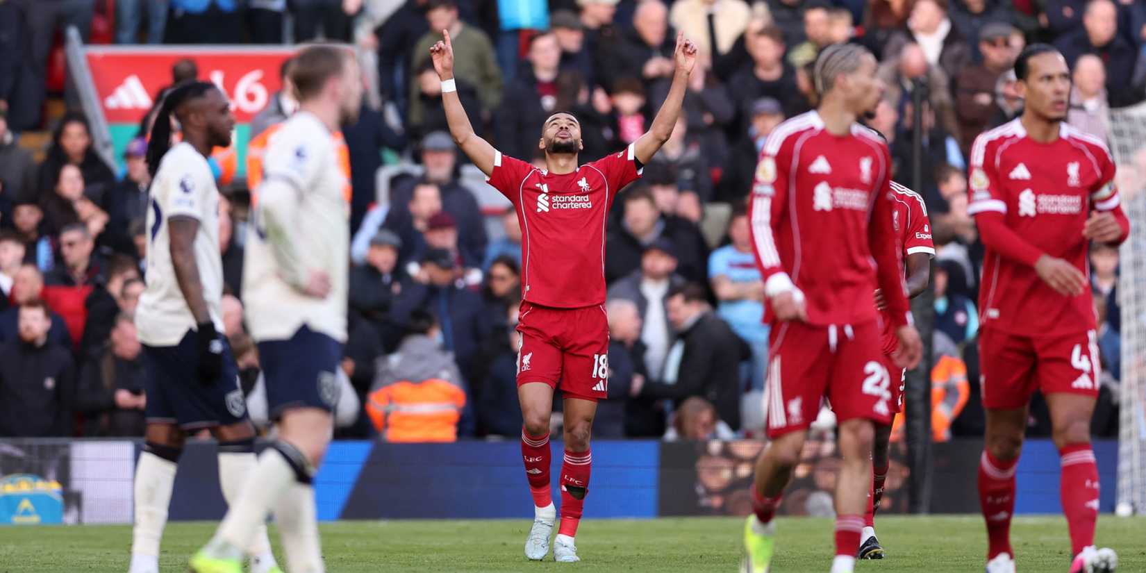 cody-gakpo-liverpool (2)