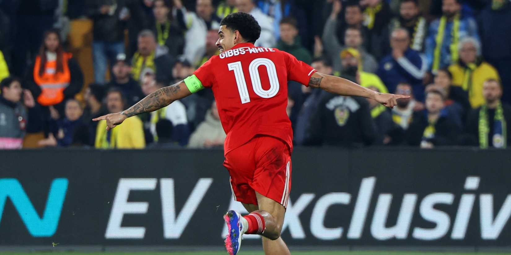 gibbs-white-forest (2)