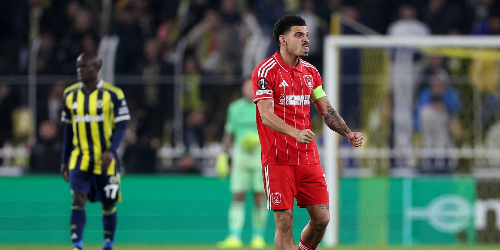 floresta de gibbs-whit