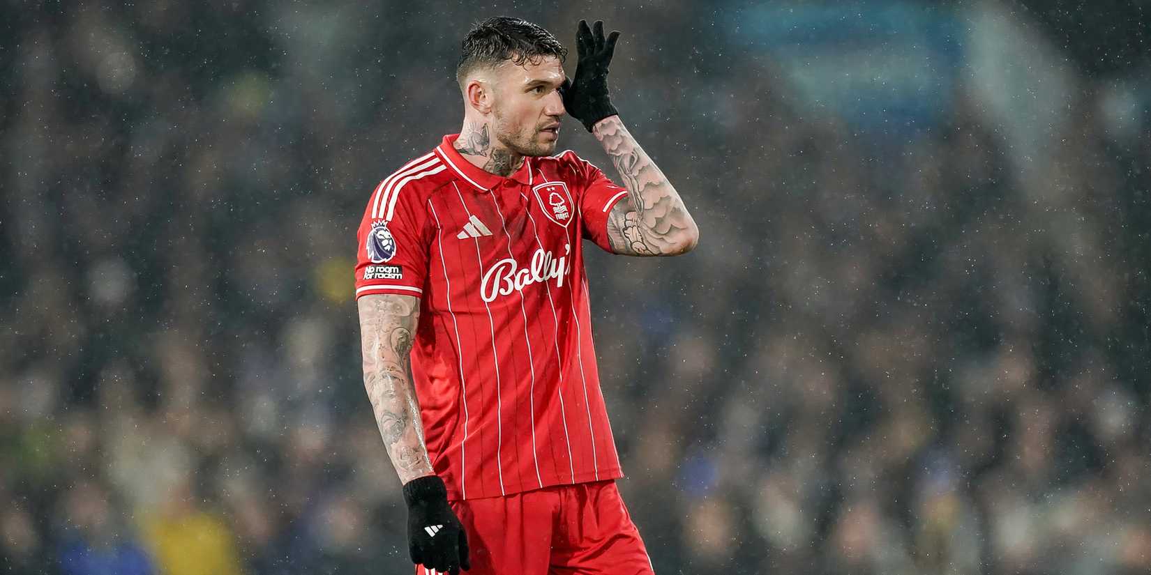 morato-nottingham-floresta