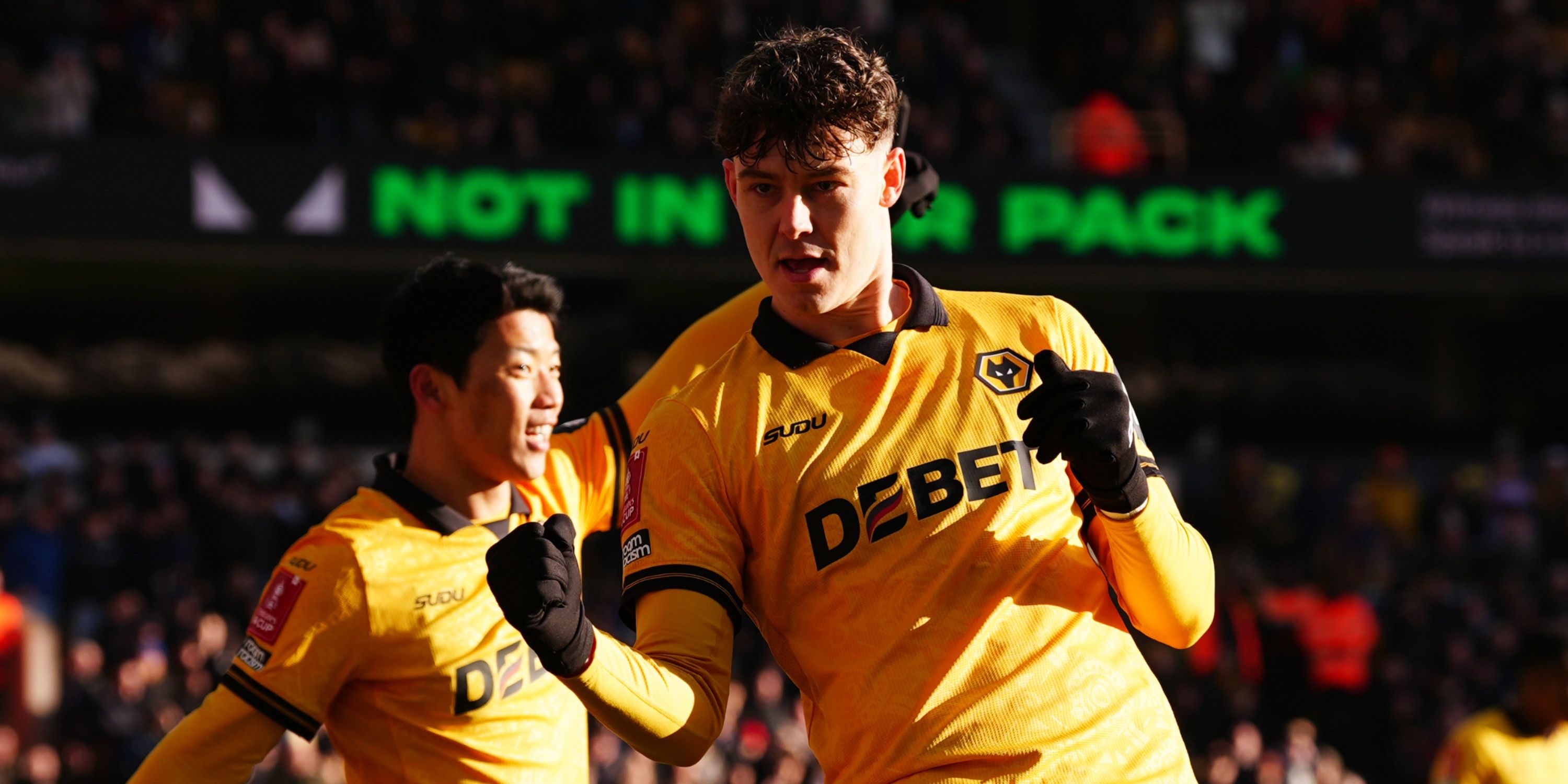 Strand-Larsen-Wolves