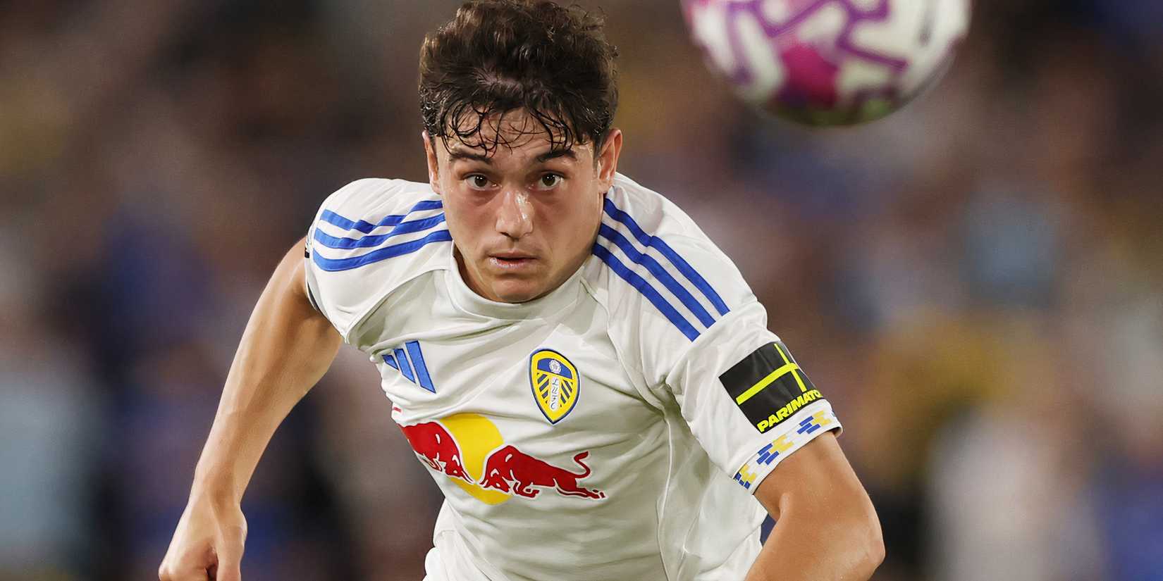 Campeonato Dan-James-Leeds