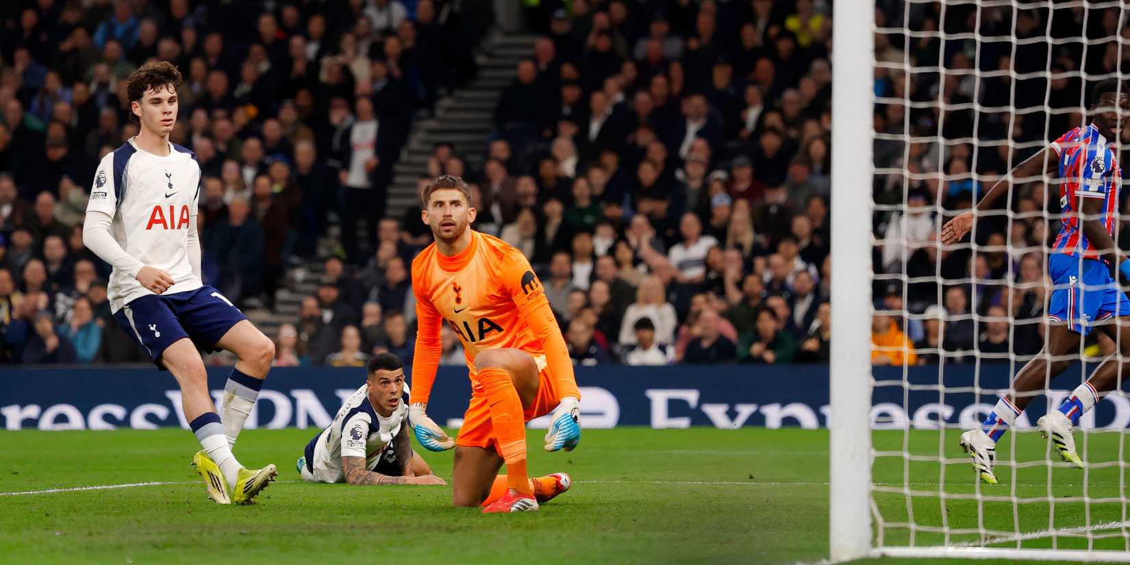 Guglielmo Vicario of Tottenham