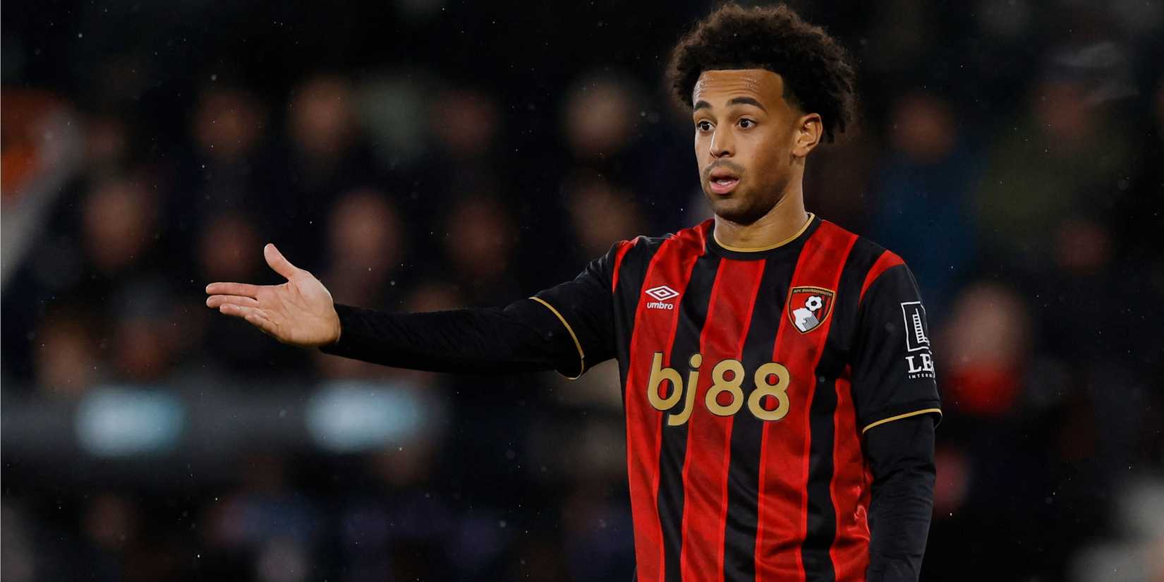 Tyler-Adams-Bournemouth