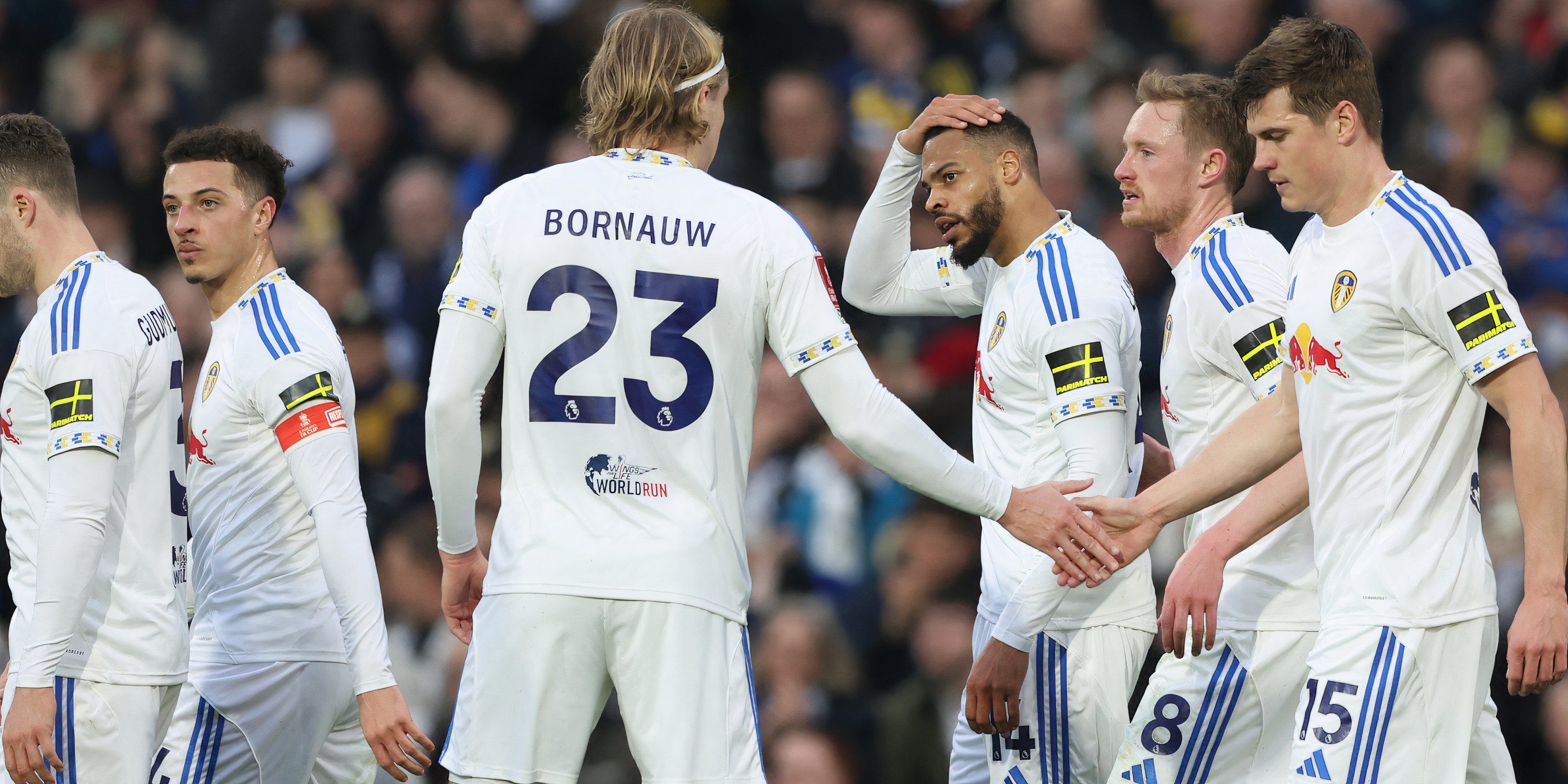 sebastiaan-bornauw-leds