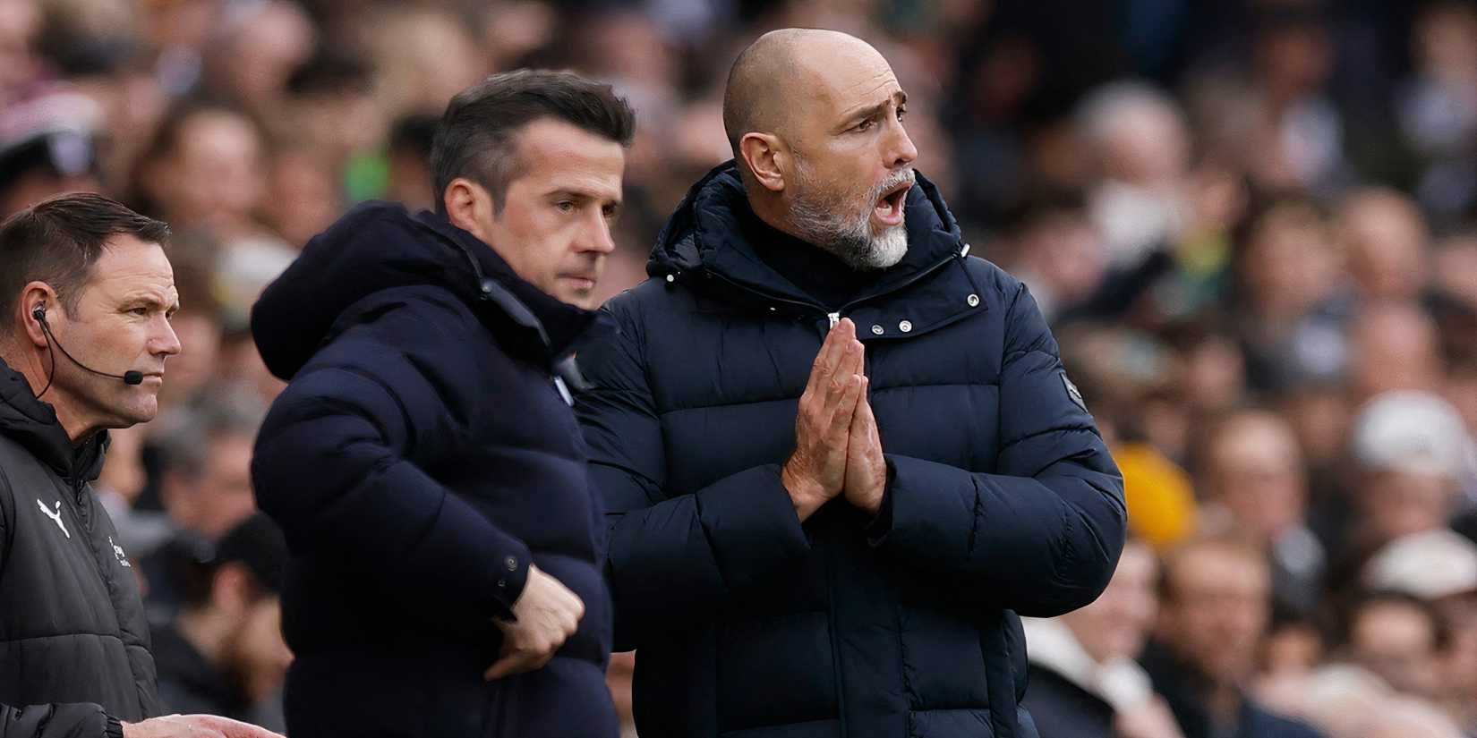 silva-tudor-spurs-fulham