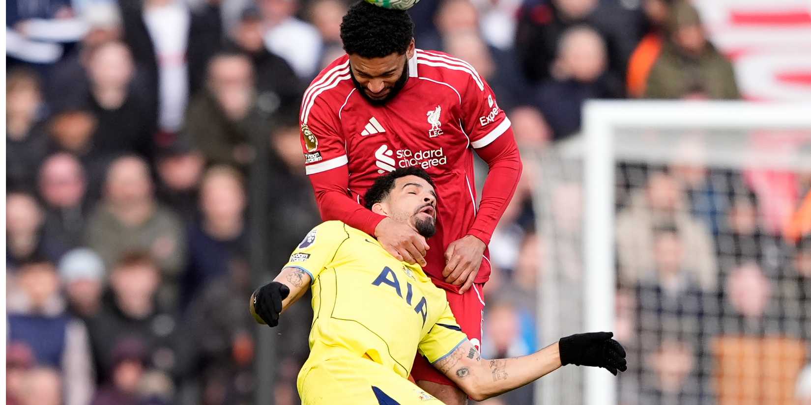 Solanke-Gomes-Liverpool-Spurs