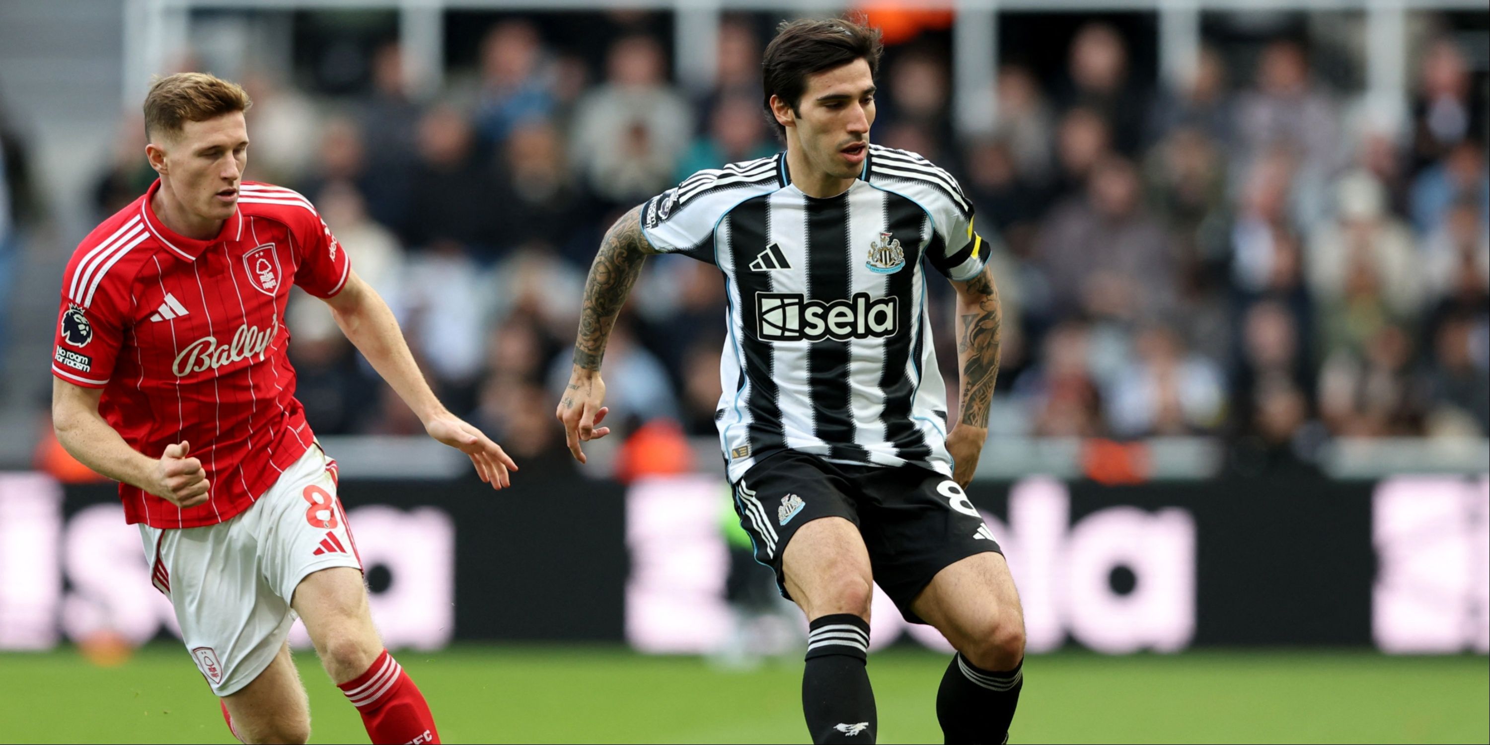 Tonali-Anderson-Newcastle-Forest