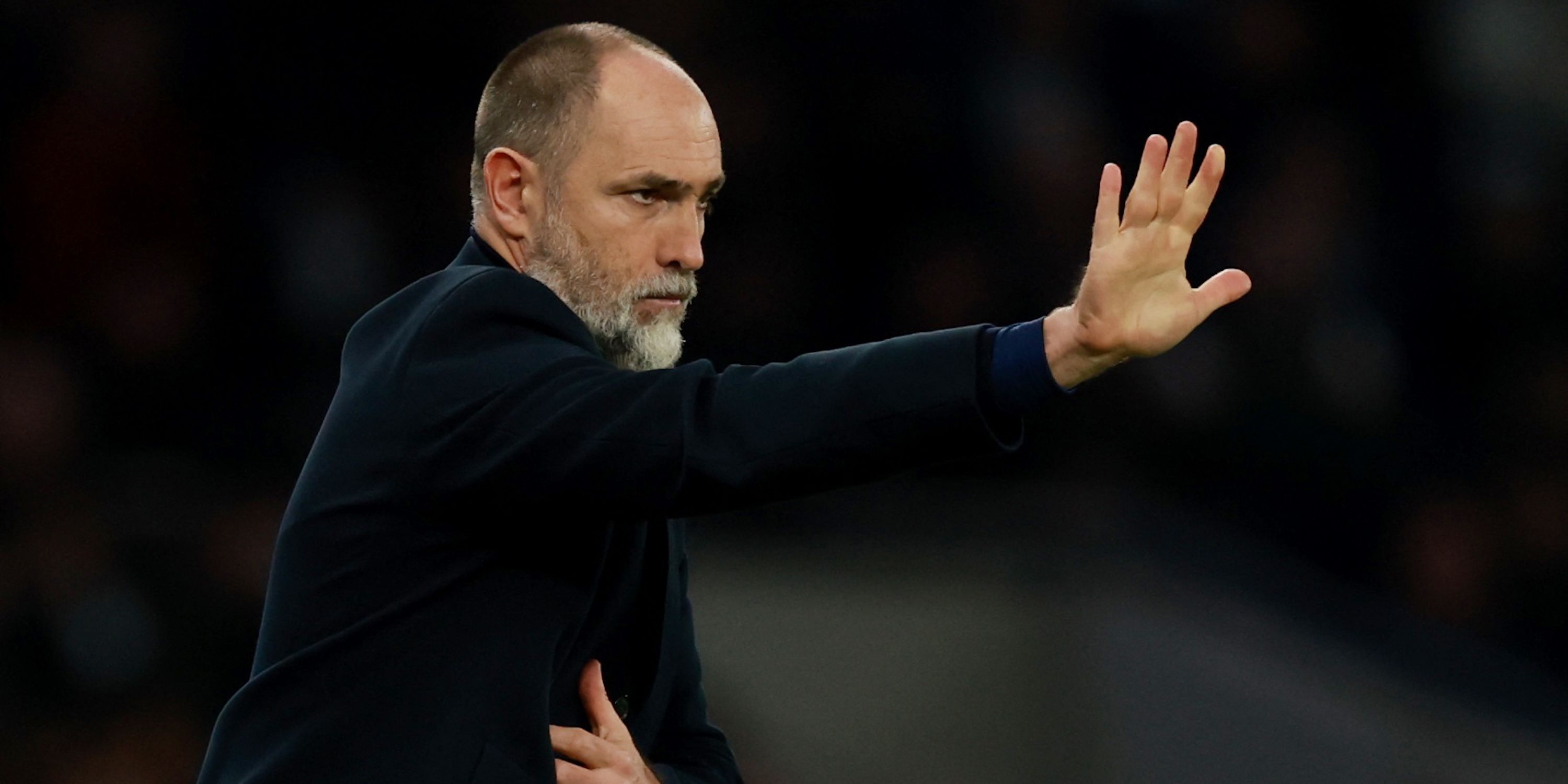 Técnico interino do Tottenham Hotspur, Igor Tudor-2