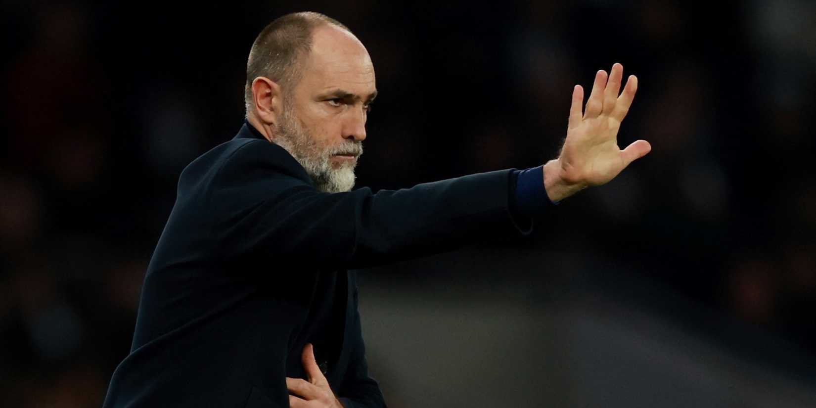 Tottenham Hotspur interim manager Igor Tudor-2