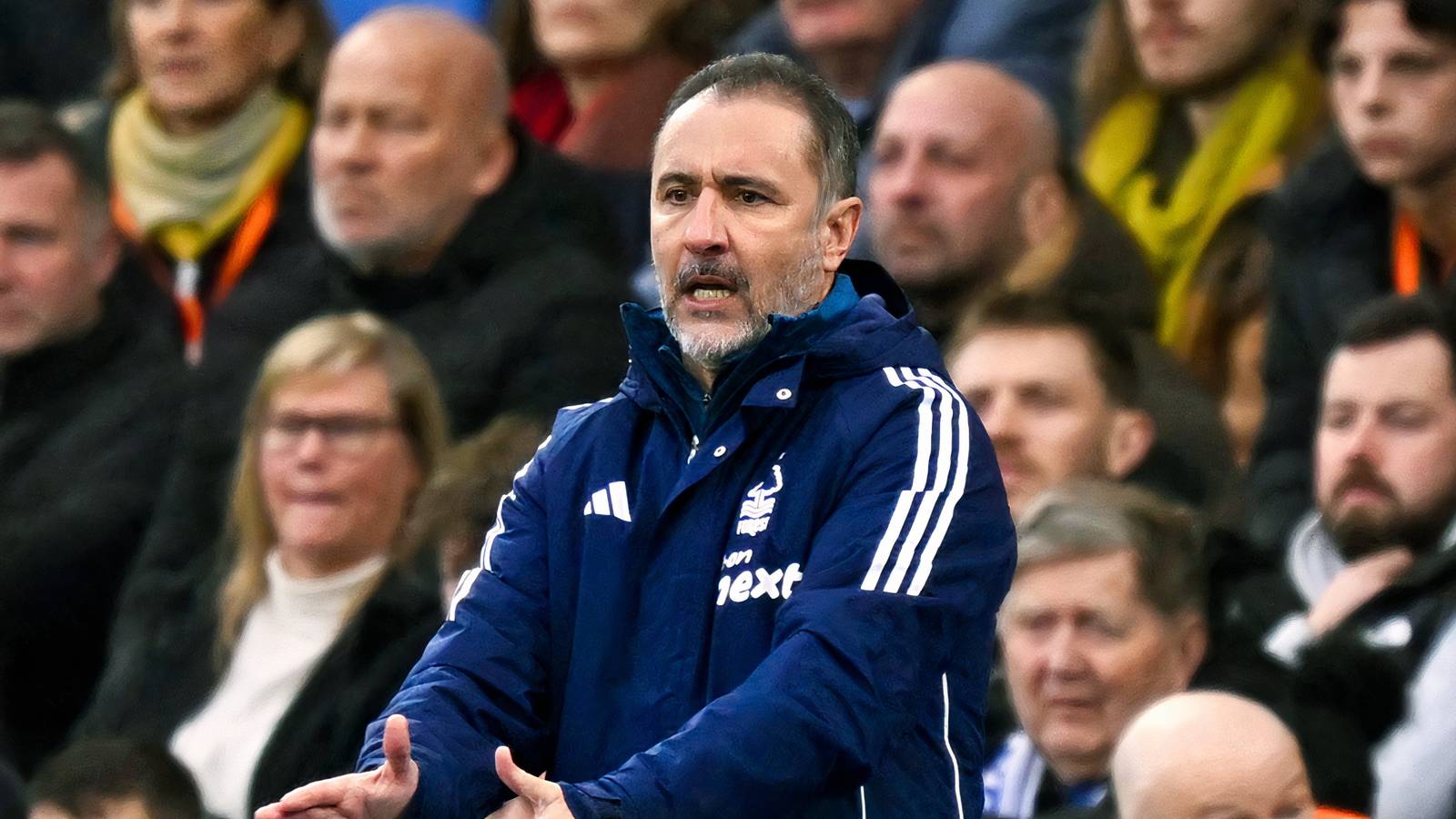 Vitor Pereira personally wants Nottingham Forest to sign the 'exciting' Wolves star Vitor Pereira personally wants Nottingham Forest to sign the 'exciting' Wolves star
