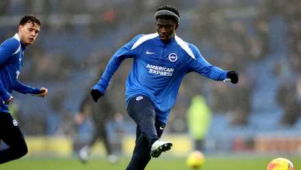 Carlos Baliba para Brighton