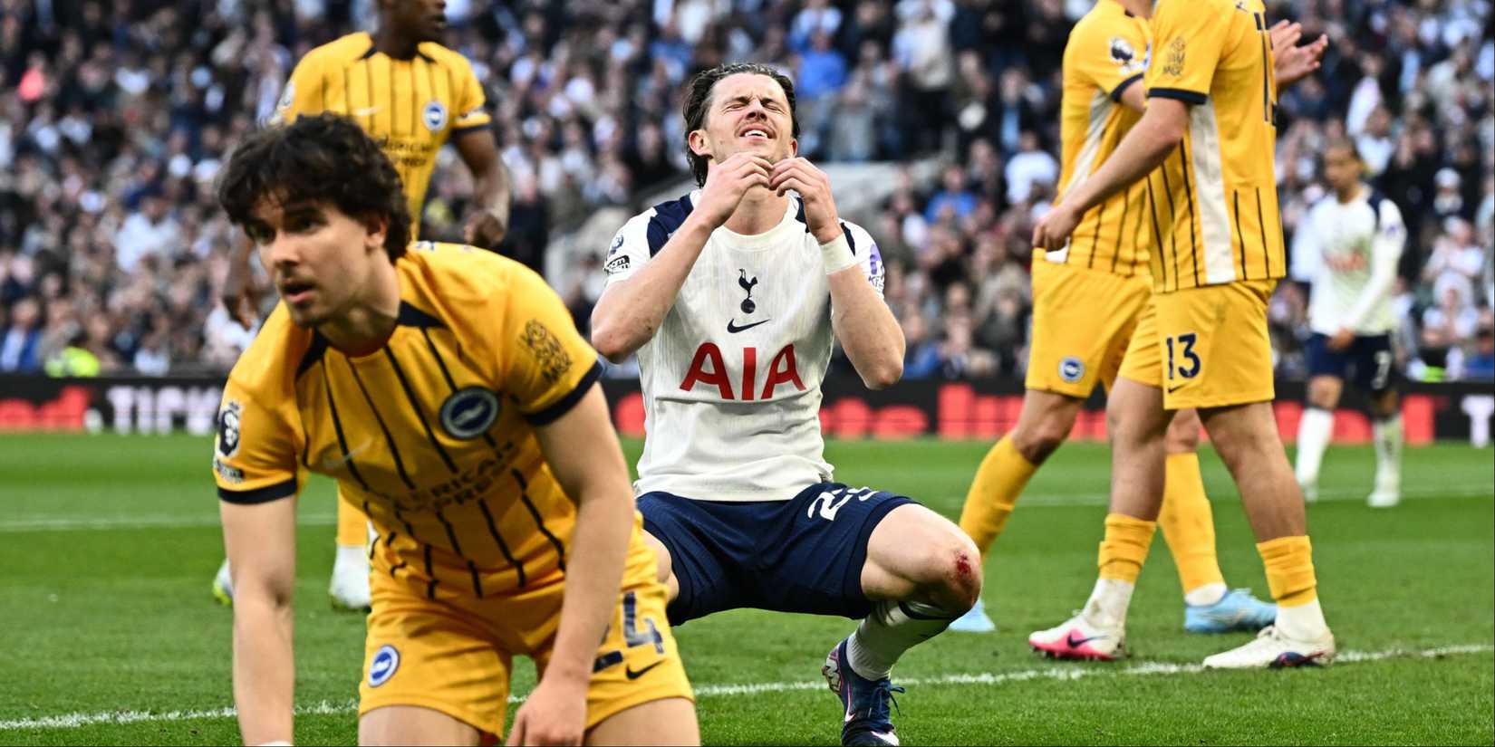 Conor-Gallagher-Spurs-Brighton