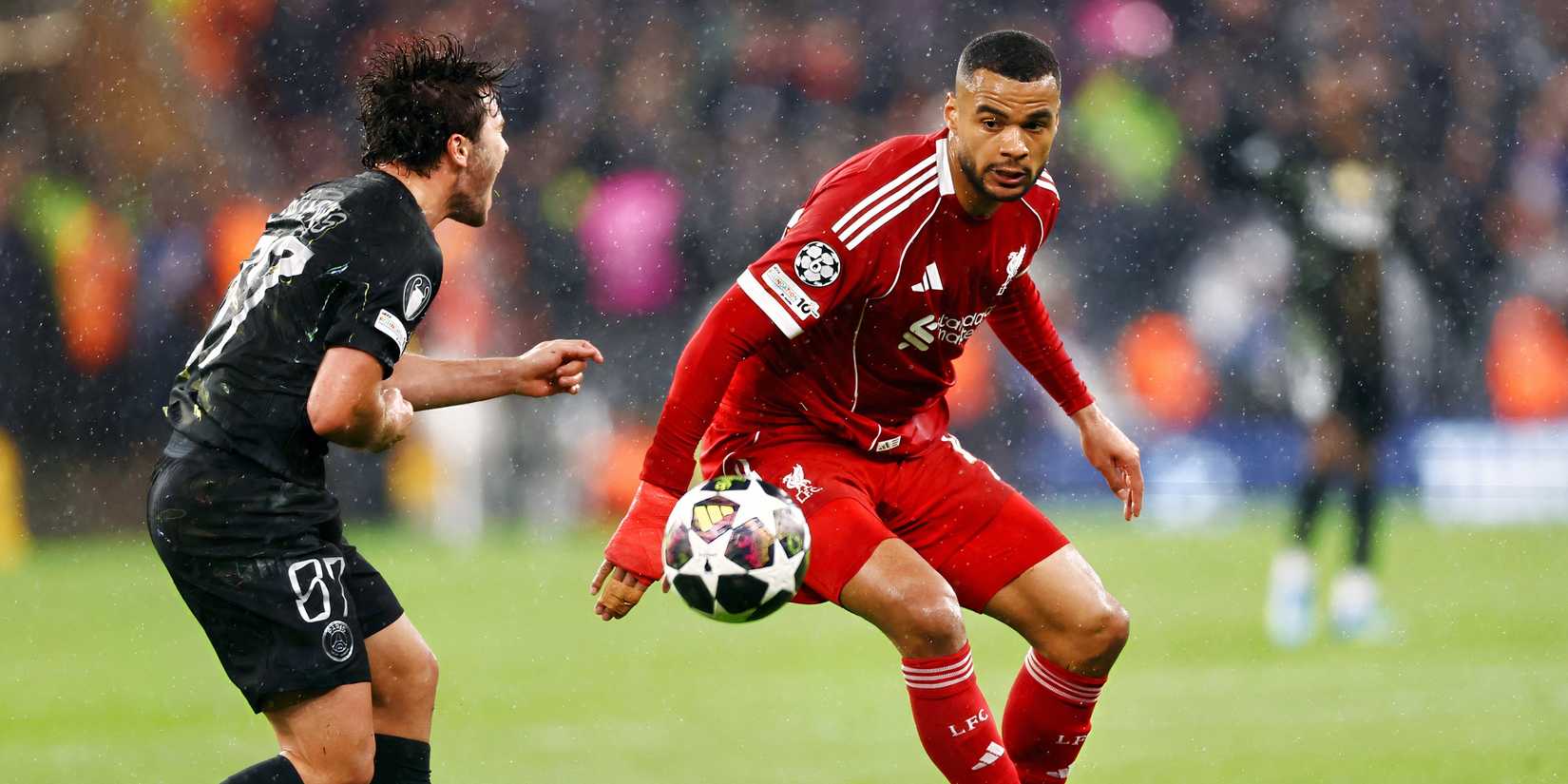 Liverpool striker Cody Gakpo