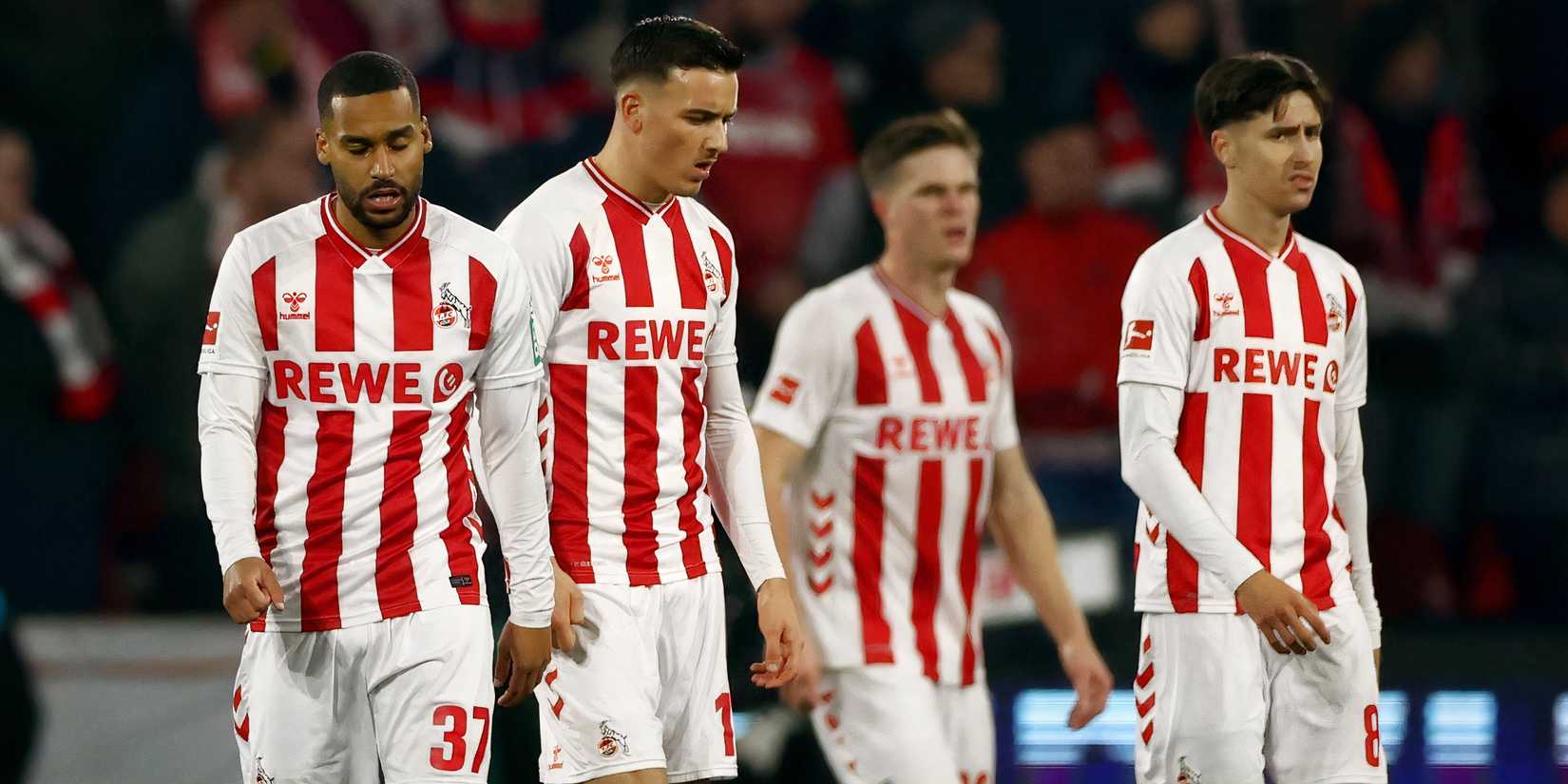 said-el-mala-koln-everton-brighton