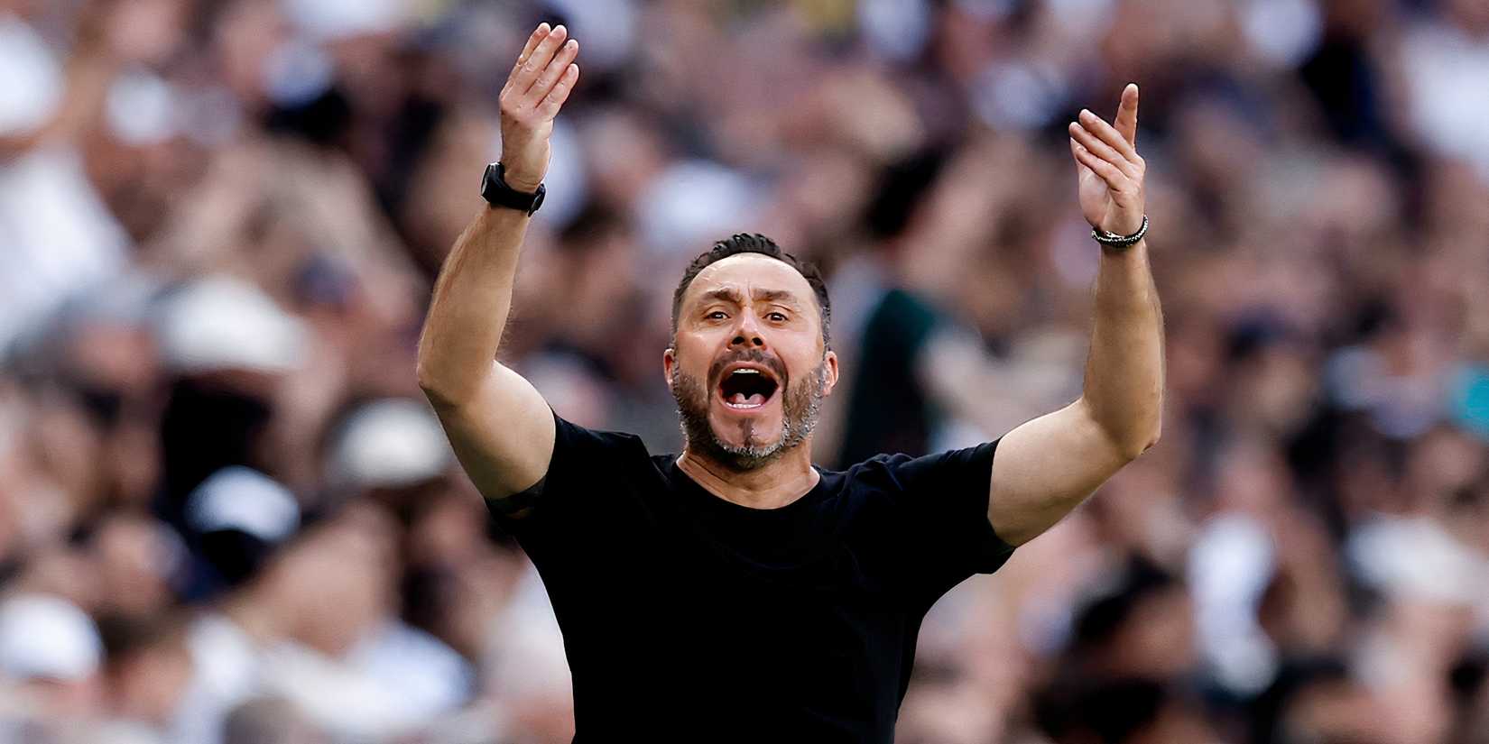 de-zerbi-tottenham-premier-league