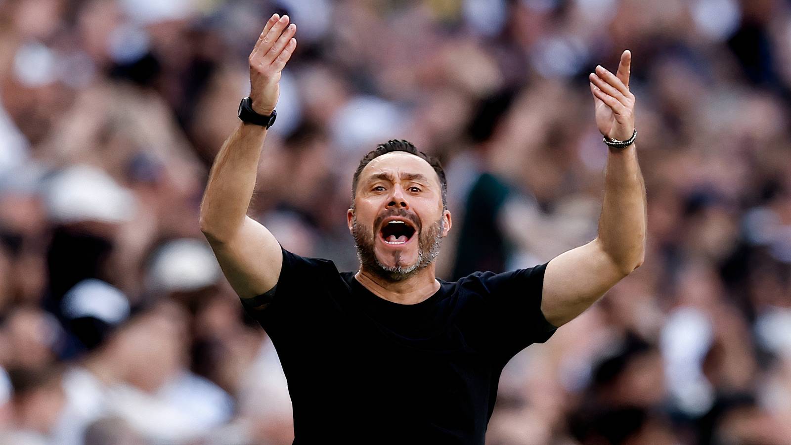 Tottenham ‘improved’ Martin Dubravka talks after surprise Alasdair Gold update Tottenham ‘improved’ Martin Dubravka talks after surprise Alasdair Gold update