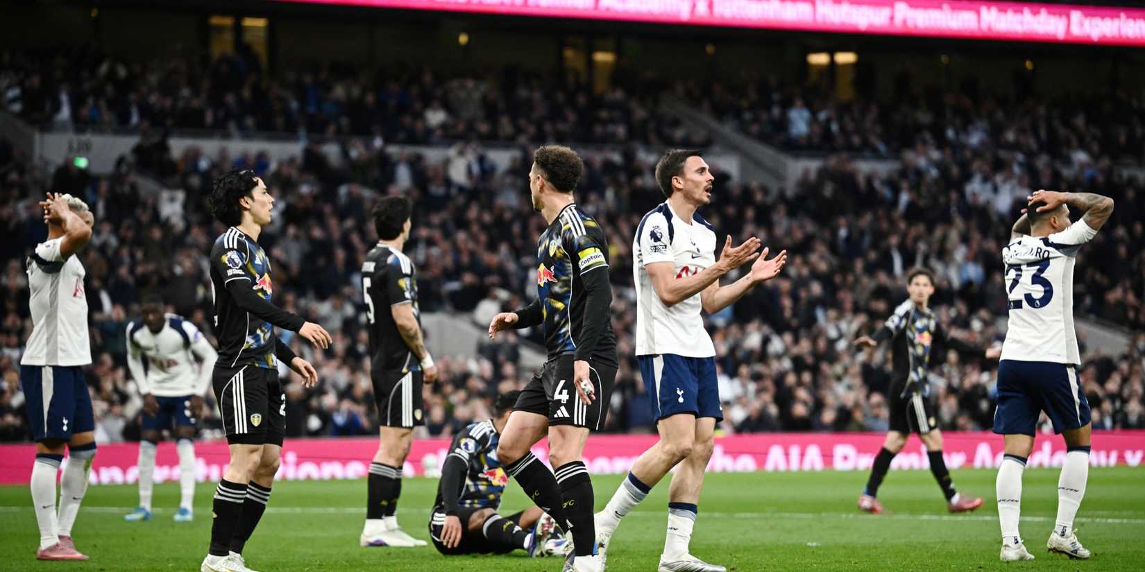 joao-palinha-spurs