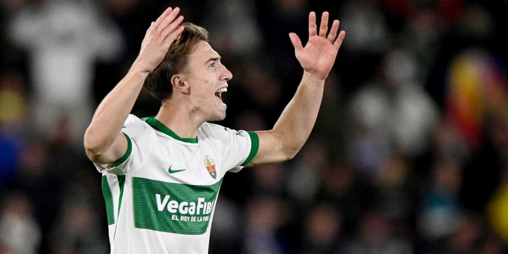david-affengruber-elche