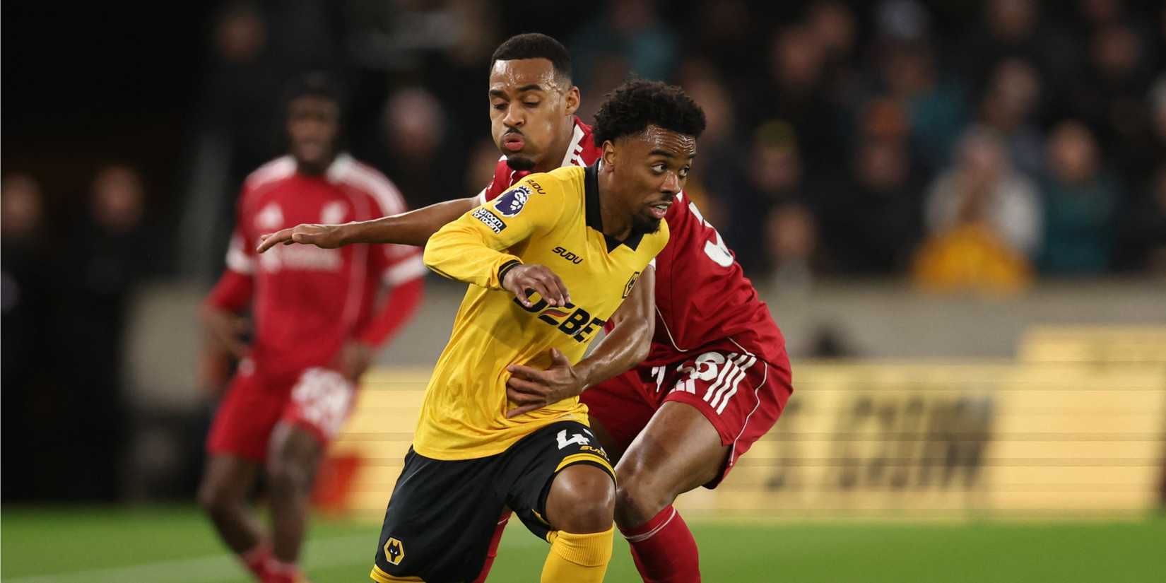 angel-gomes-wolves