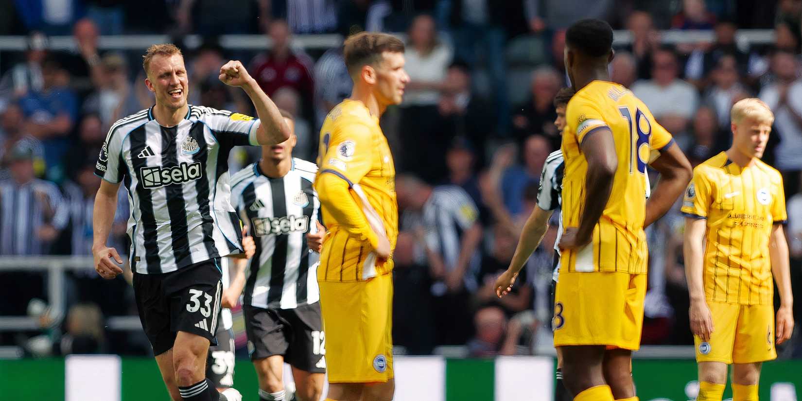 Newcastle-Brighton-Premier League