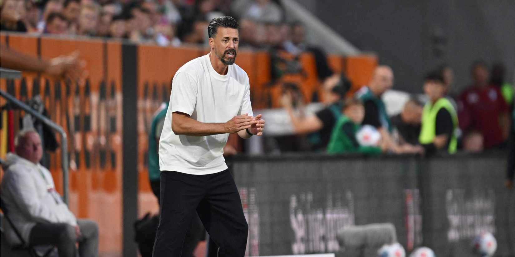 sandro-wagner