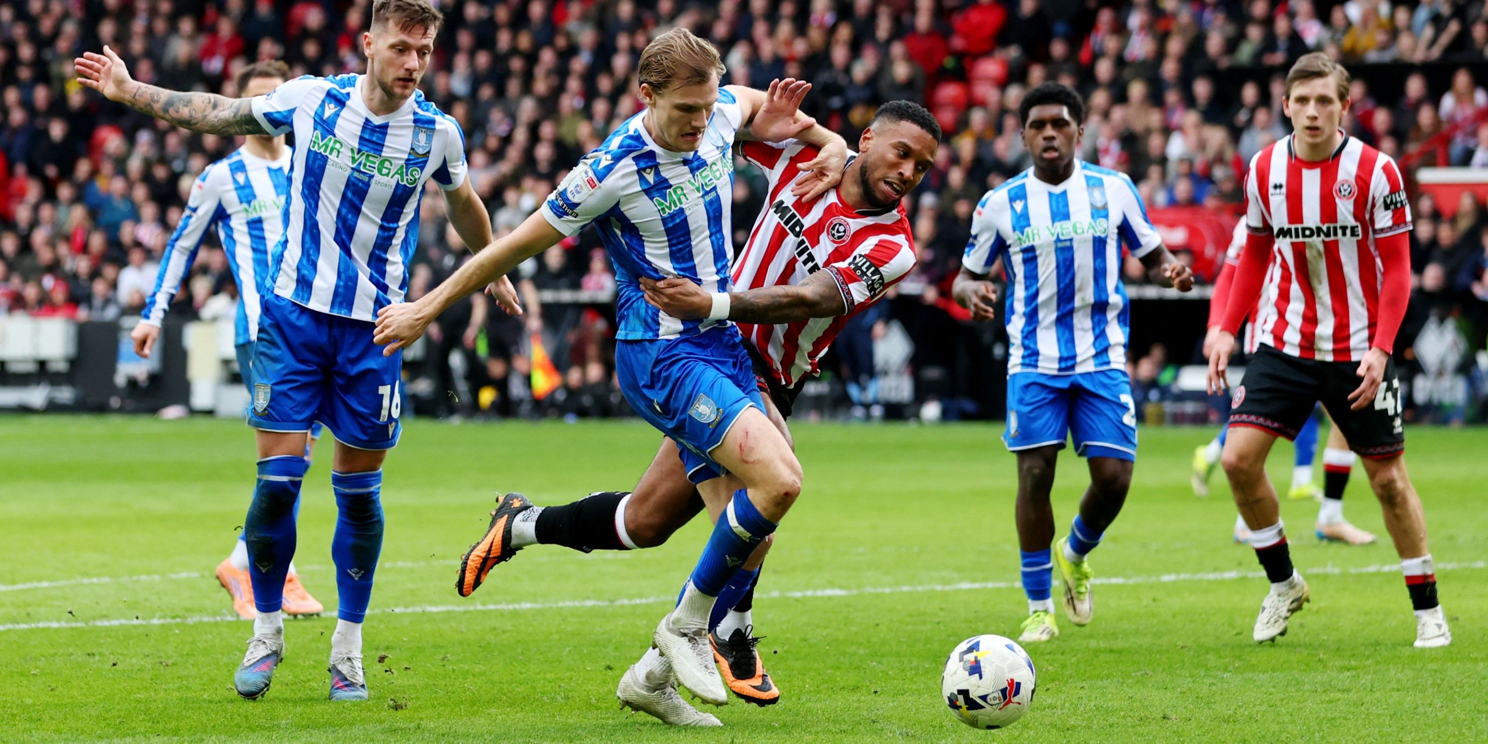 svante-ingelsson-sheffield-wednesday