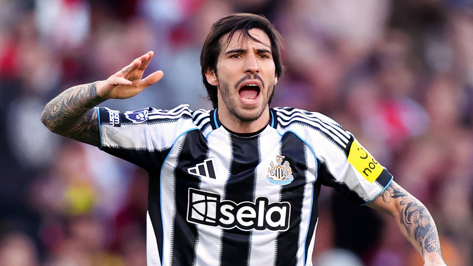 Tottenham are ready to pay a ‘shocking’ fee for Newcastle star Sandro Tonali Tottenham are ready to pay a ‘shocking’ fee for Newcastle star Sandro Tonali