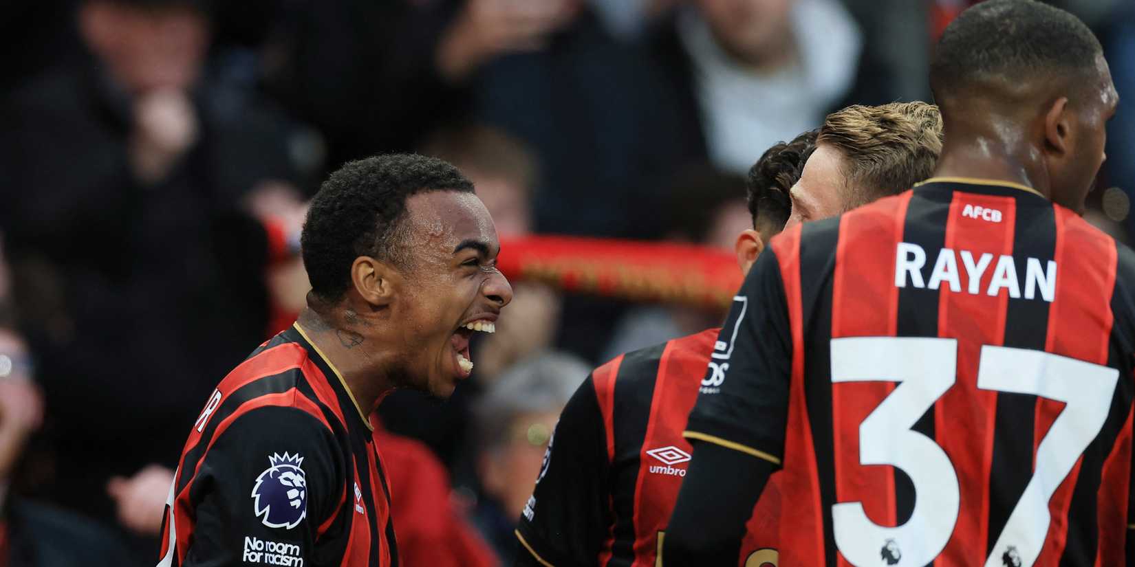 Bournemouth - Garupa