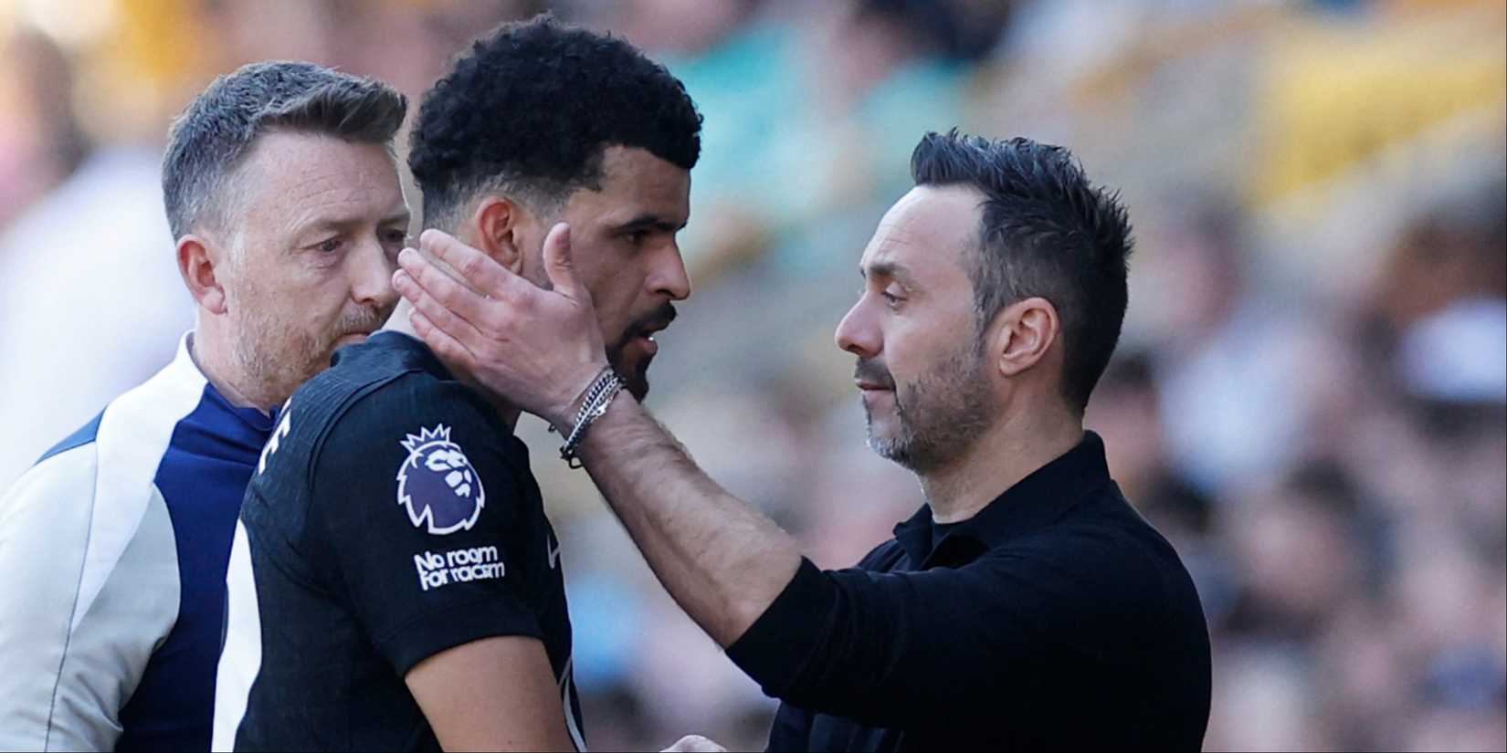 Dominic-Solanke-Spurs-De-Zerbi