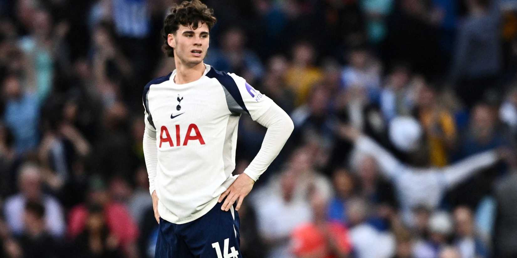 archie-gray-tottenham