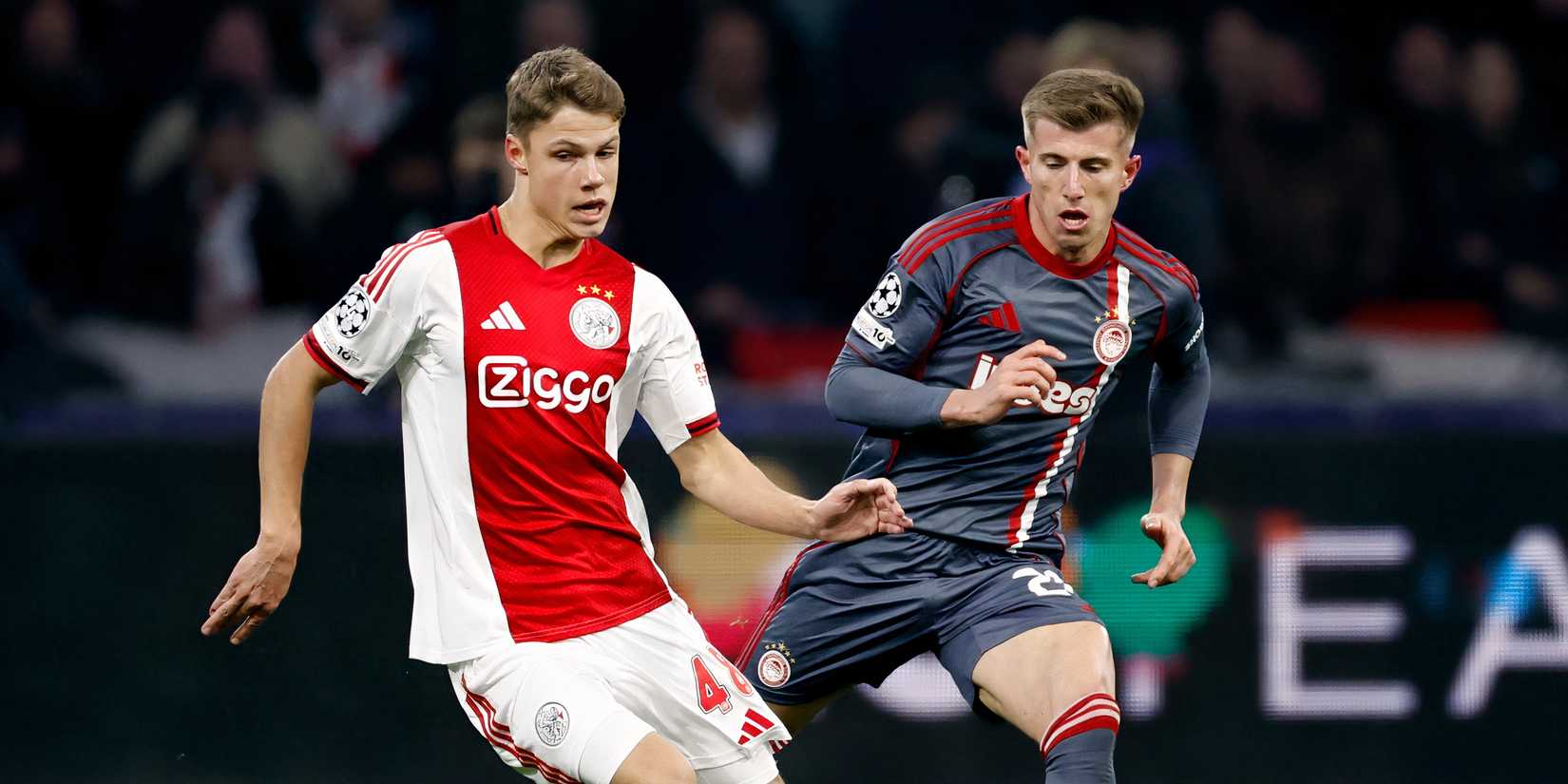 Newcastle contrata Sean Steur