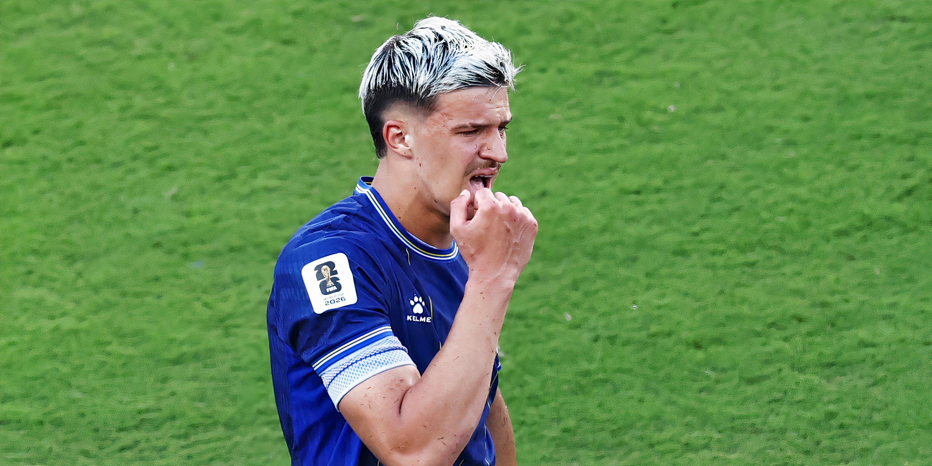 tarik-muharemovic-bosnia-world-cup