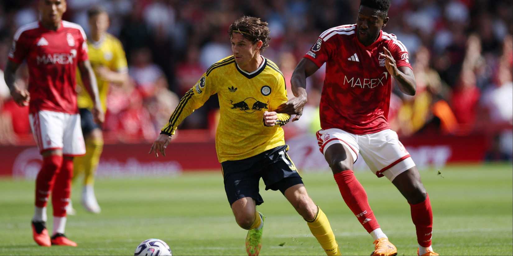 Aaronson-Leeds-Forest