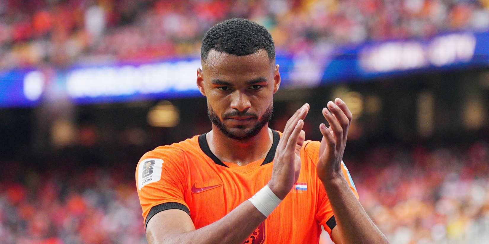 Cody-Gakpo-Netherlands