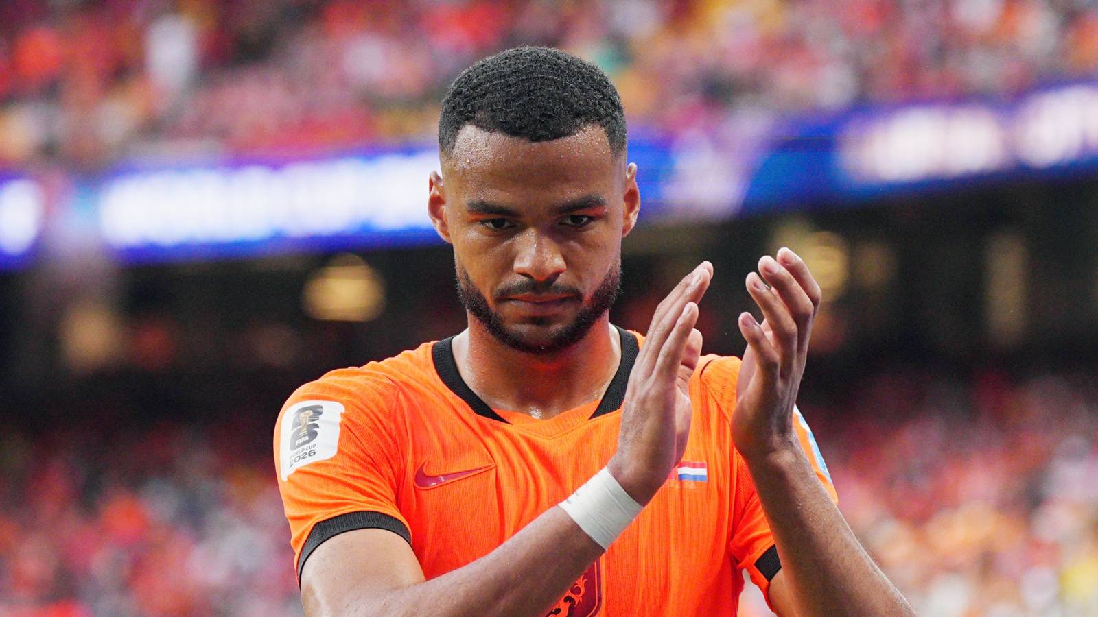 The £80m Premier League star Spurs could sign to forget about Gakpo