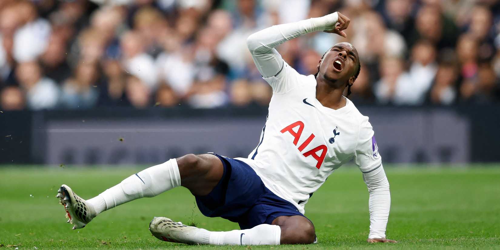 Mathis Tel pelo Tottenham