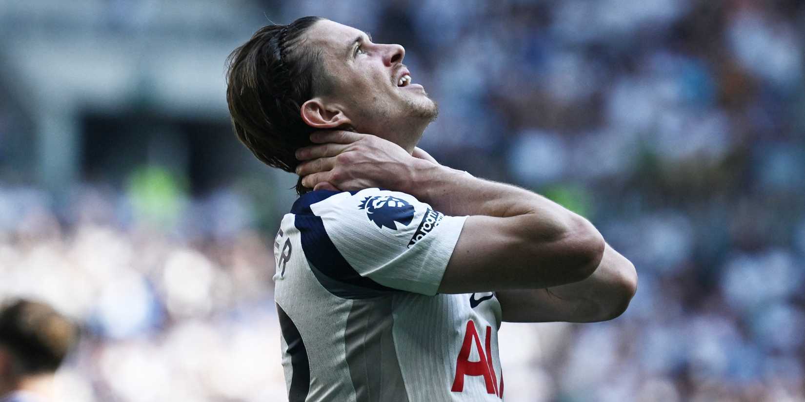 conor-gallagher-tottenham
