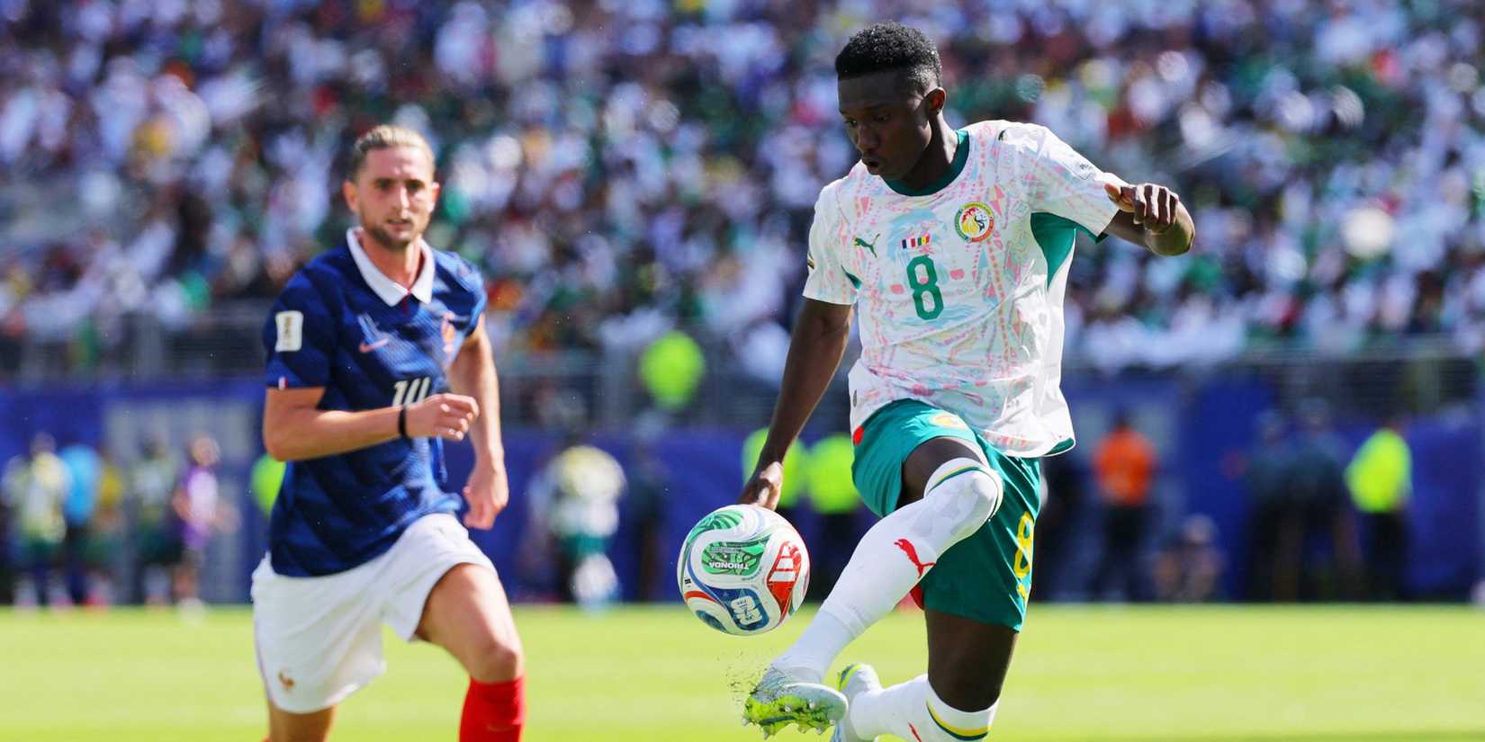 lamine-camara-senegal