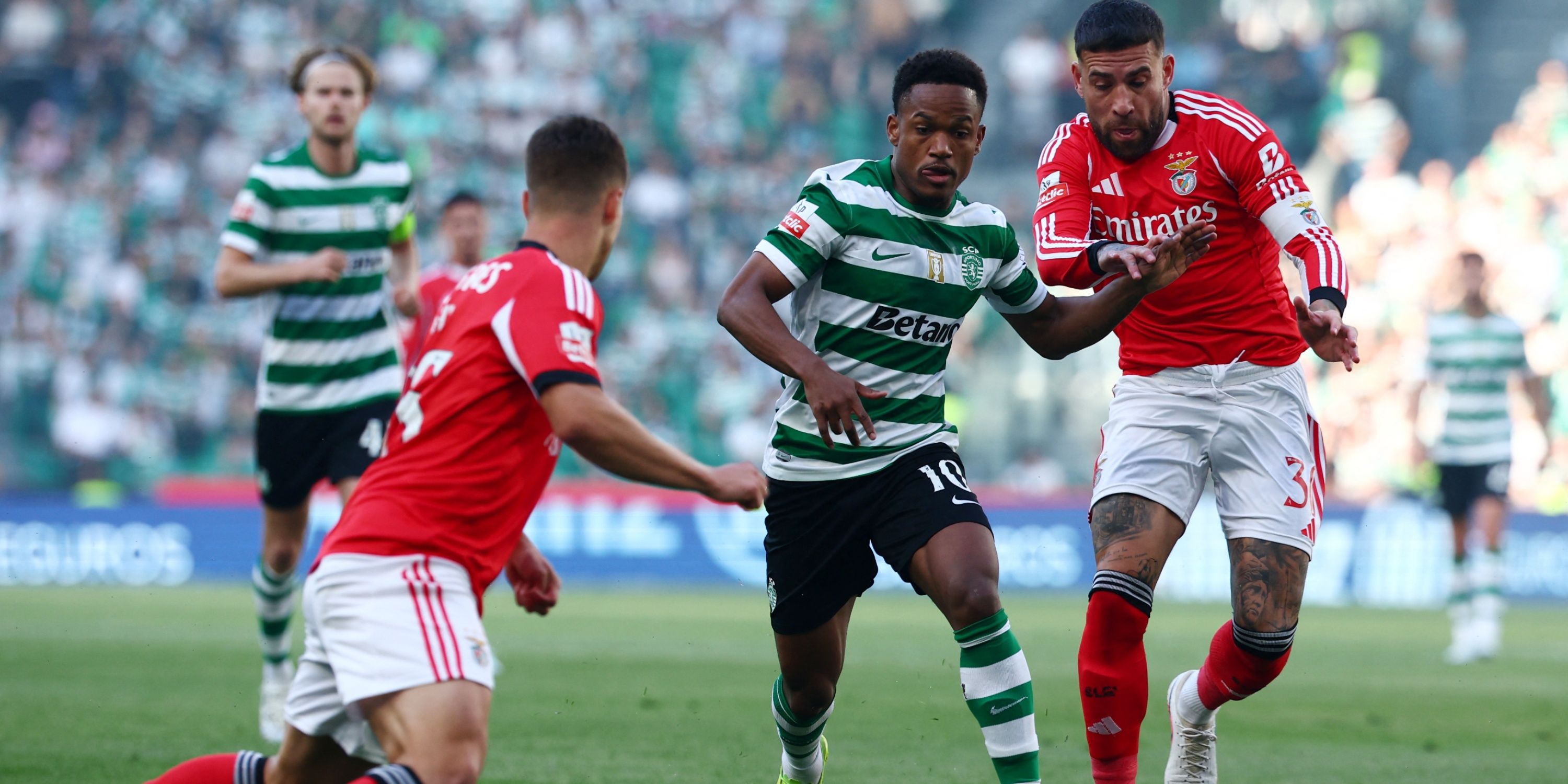 geny-catamo-sporting
