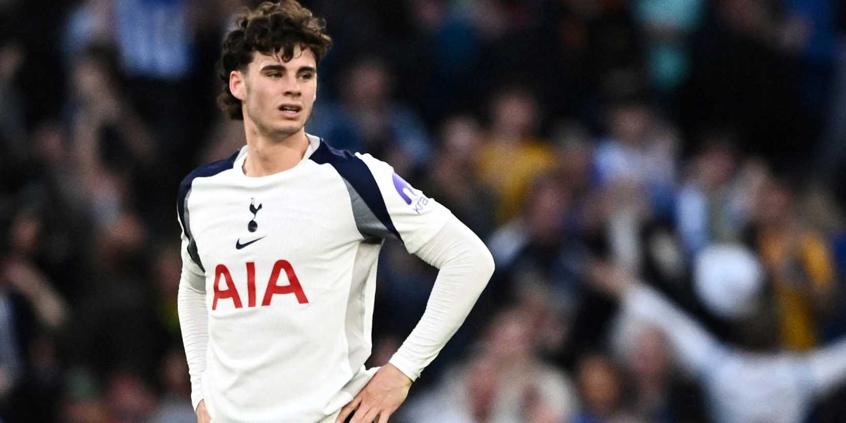 archie-gray-tottenham